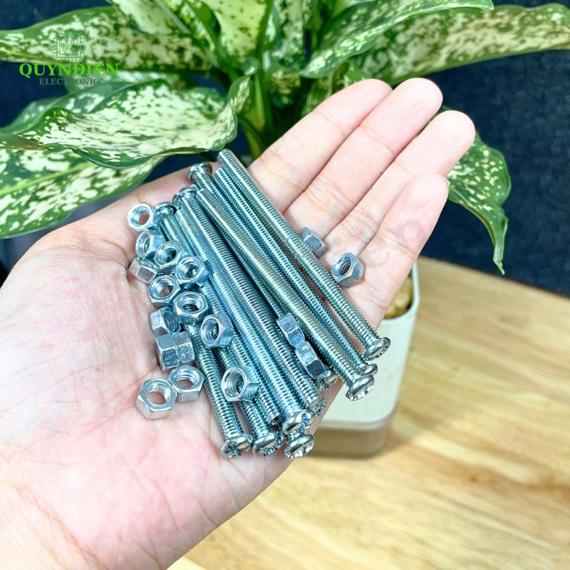 Ốc Vít M5x60mm Có Kèm Tán - Túi 100 Con
