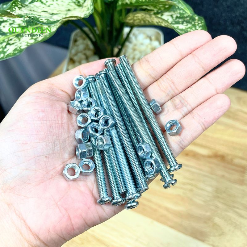 Ốc Vít M5x70mm Có Kèm Tán - Túi 100 Con