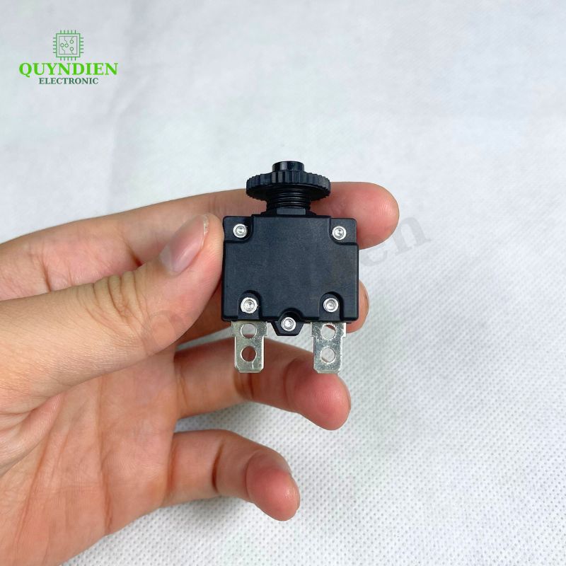 Relay Cầu Chì Tự Động Ngắt 10A