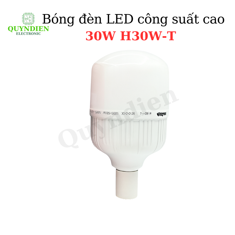 Bóng đèn LED công suất cao 30W H30W-T