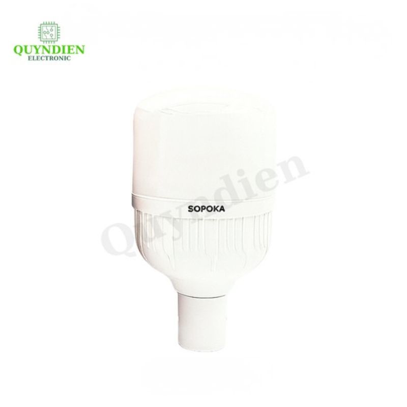 Bóng Đèn LED Công Suất Cao 20W H20W-T