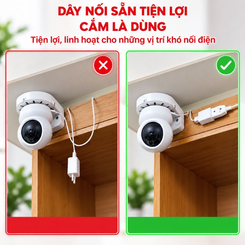 Dây Phích Âm