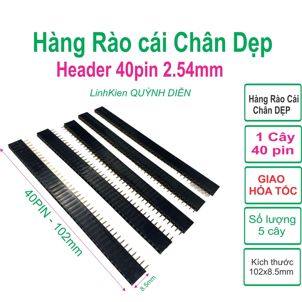 Hàng Rào Cái, Đơn, Lỗ Vuông, Chân DẸP Thẳng 40 pin (Header 2.54 40pin)