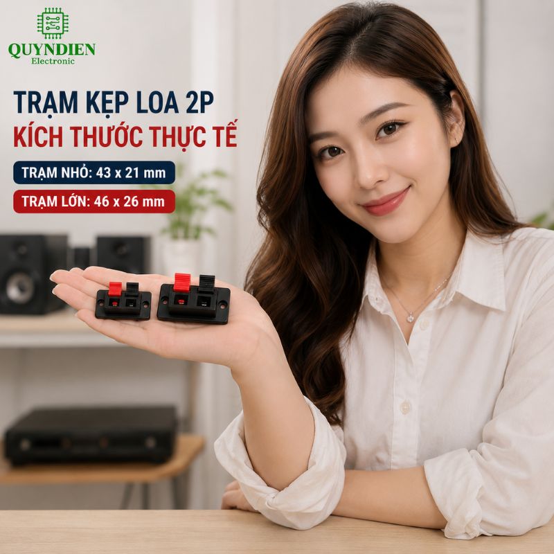 Jack Kẹp Loa Trạm kẹp loa 2p