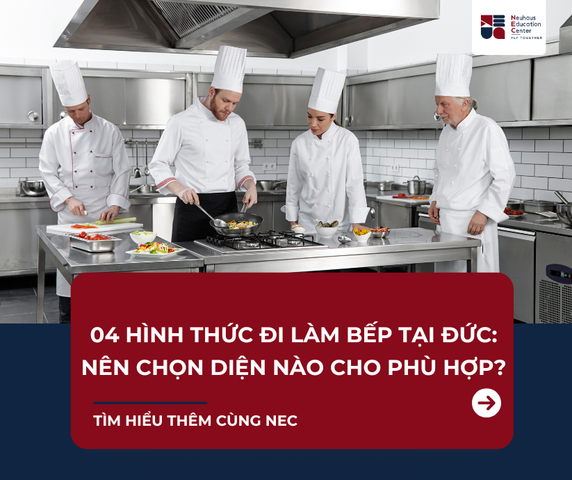 4 Hình Thức Đi Đức Làm Bếp Phổ Biến Hiện Nay: Nên Chọn Diện Nào Phù Hợp?