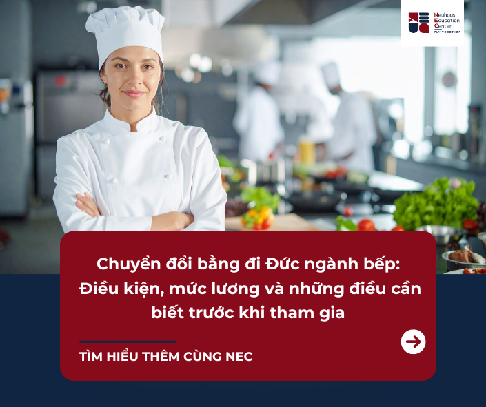 Chuyển đổi bằng đi Đức ngành bếp diện Visa 18A, 18B: Điều kiện, mức lương và lộ trình mới nhất