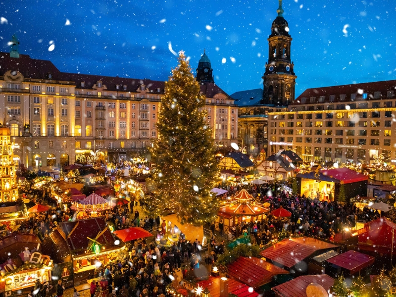 Có thể bạn chưa biết: Cây thông Noel bắt nguồn từ nước Đức 