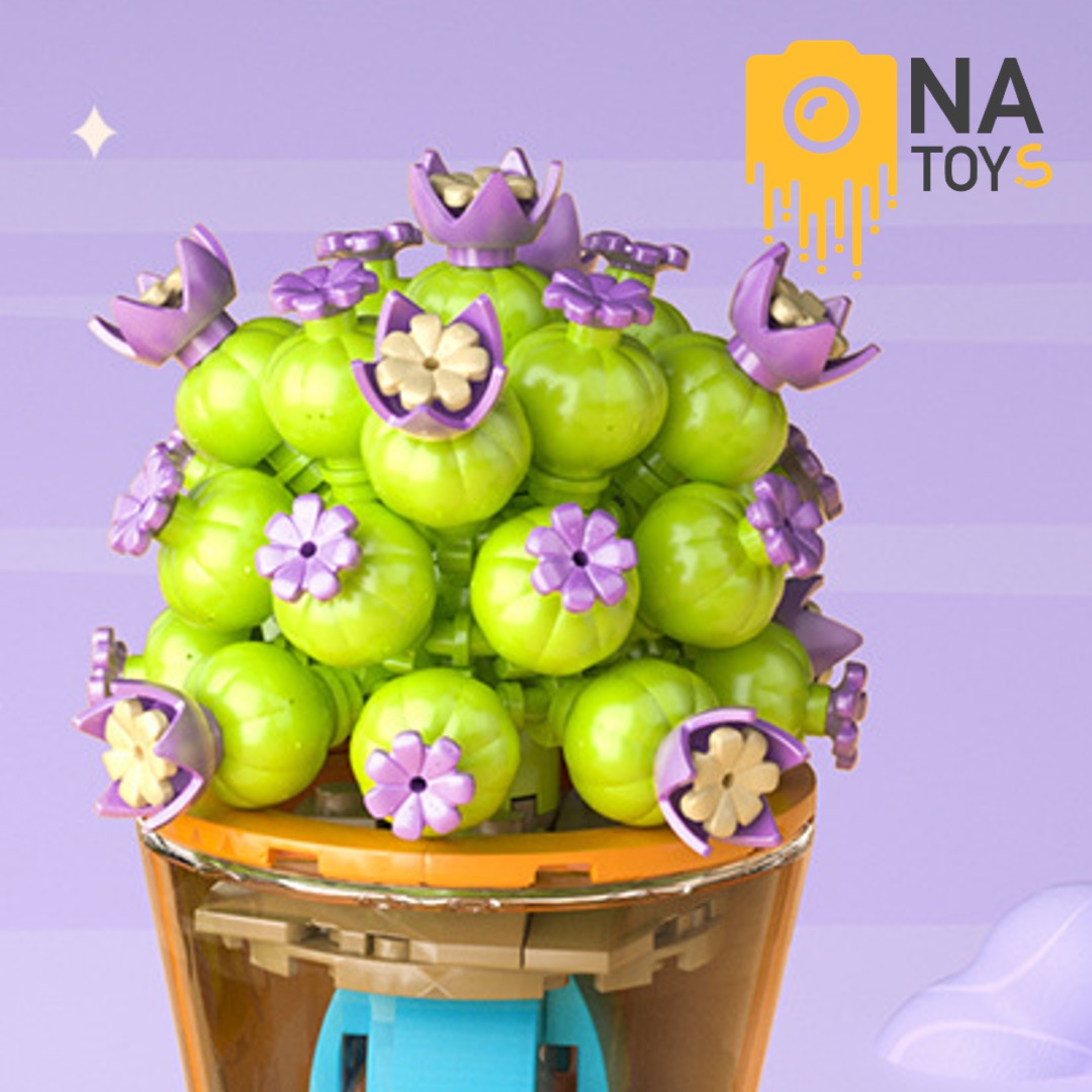 Xếp Hình Xương Rồng Hoa Tím