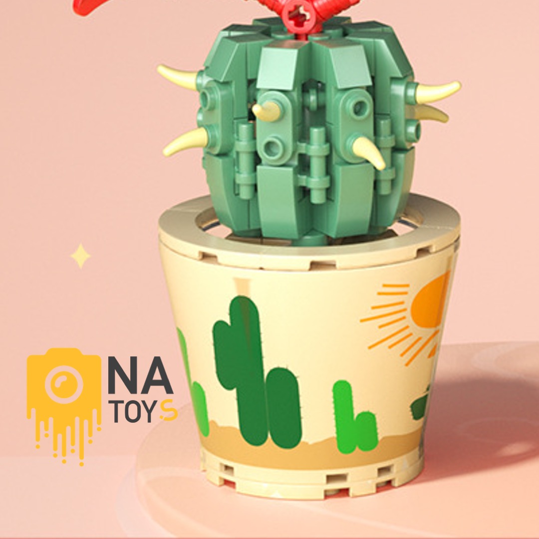 Xếp Hình Xương Rồng Hoa Đỏ