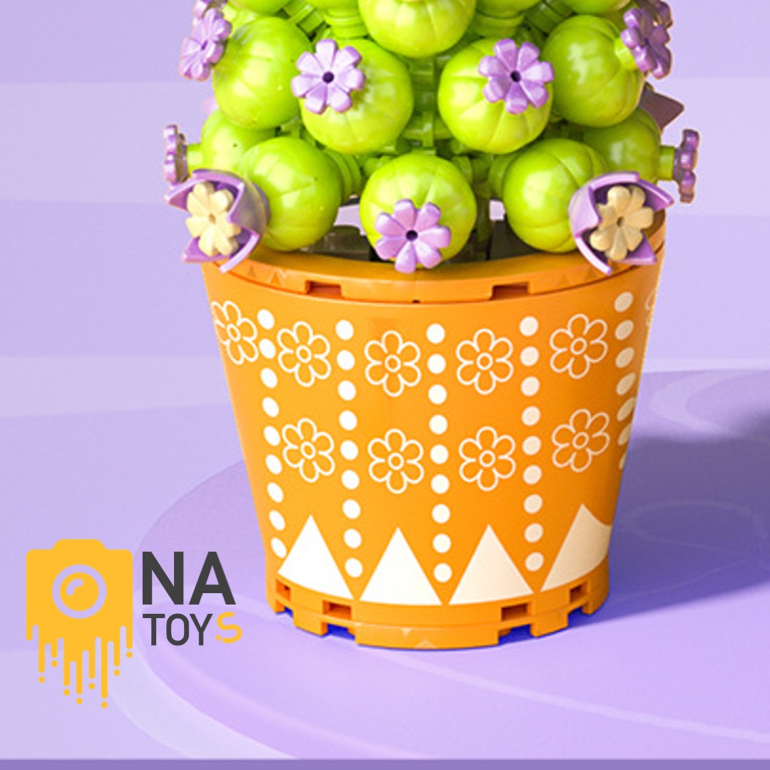 Xếp Hình Xương Rồng Hoa Tím