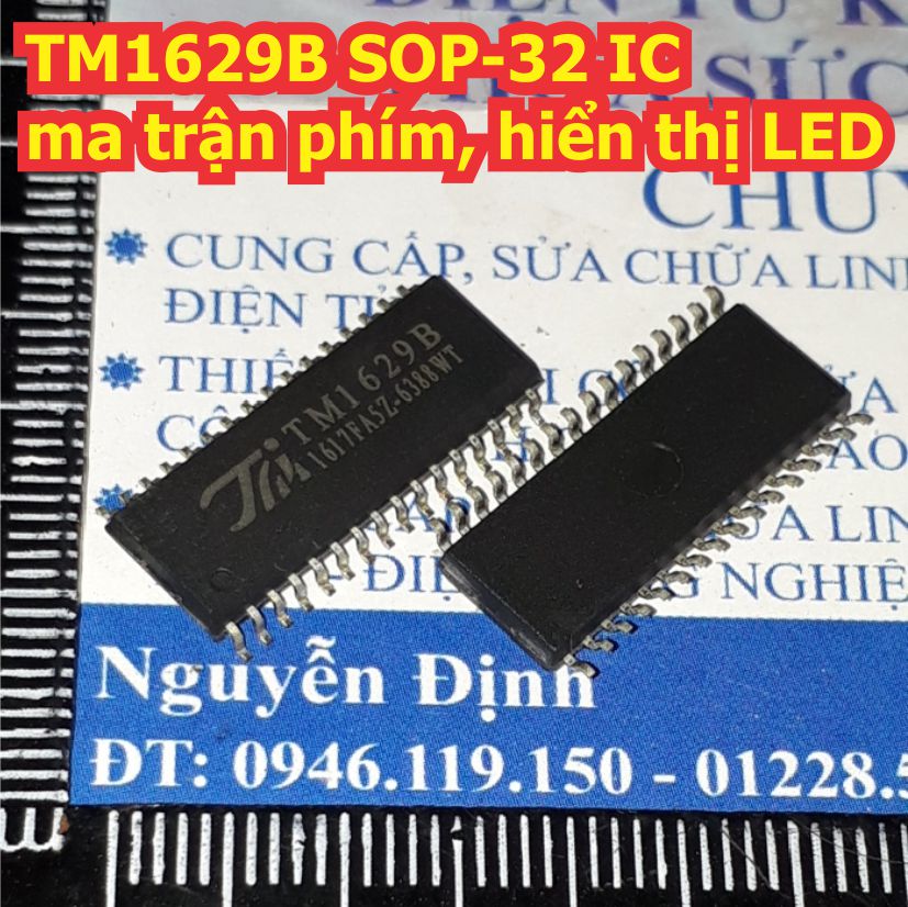 Đện tử Khải Định - Thỏa sức đam mê
