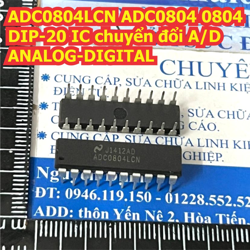 Đện tử Khải Định - Thỏa sức đam mê