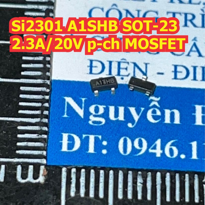 Đện tử Khải Định - Thỏa sức đam mê