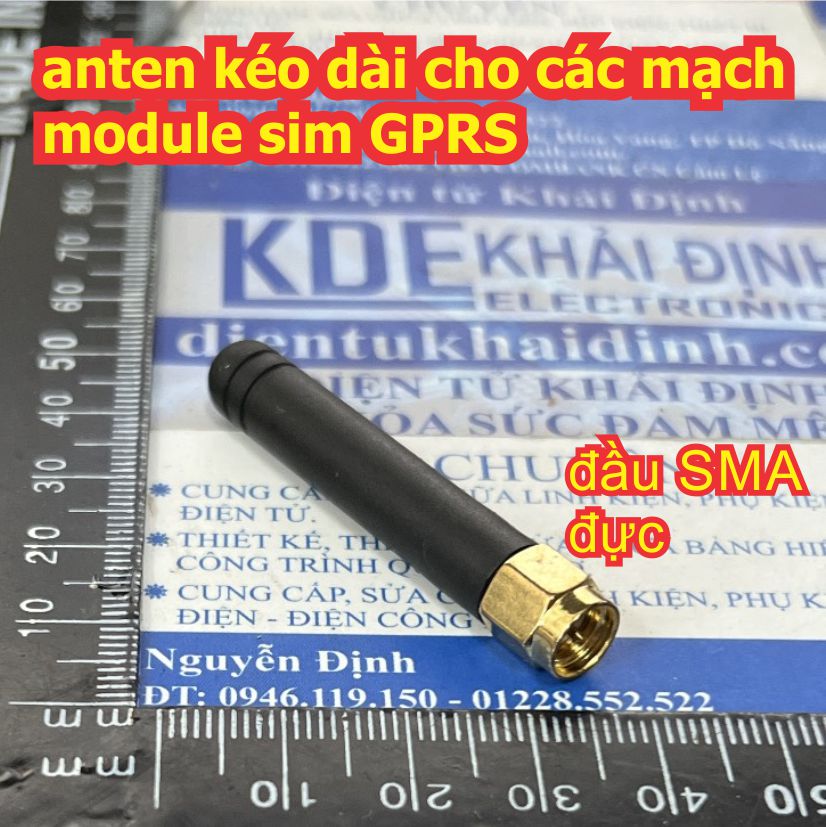 Đện tử Khải Định - Thỏa sức đam mê