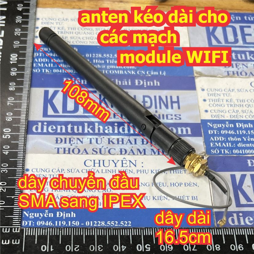Đện tử Khải Định - Thỏa sức đam mê