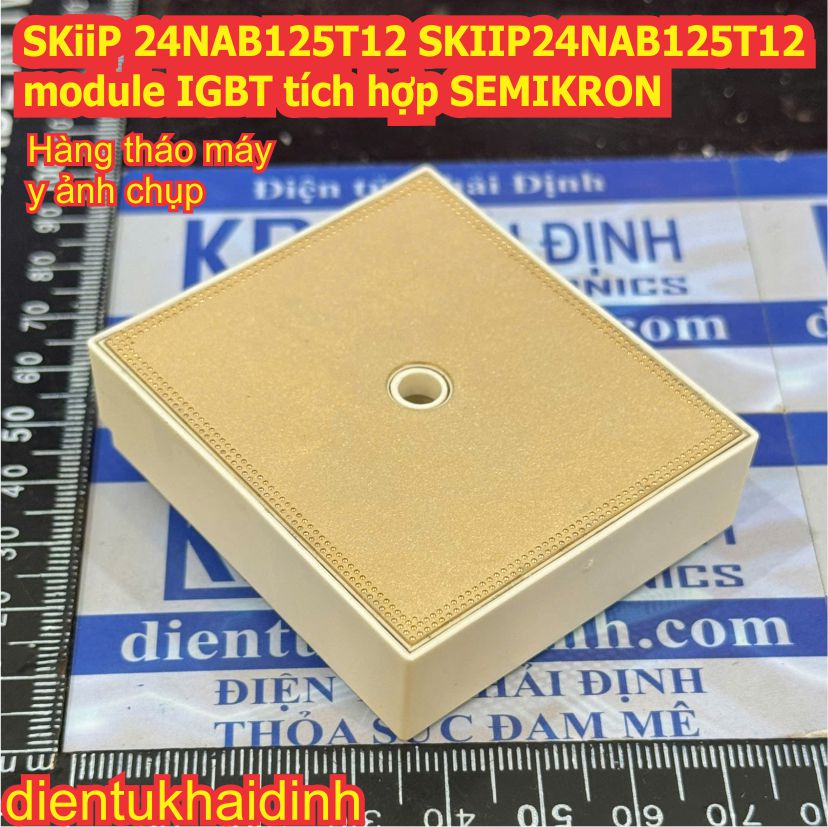 SKiiP 24NAB125T12 SKIIP24NAB125T12 module IGBT tích hợp SEMIKRON kde2528