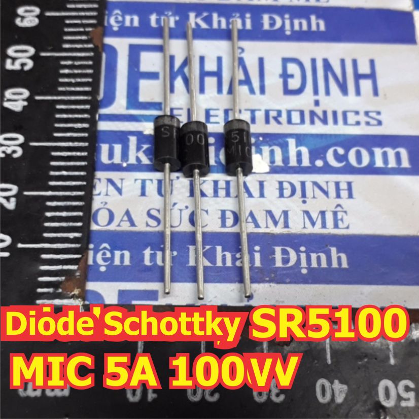 Đện tử Khải Định - Thỏa sức đam mê