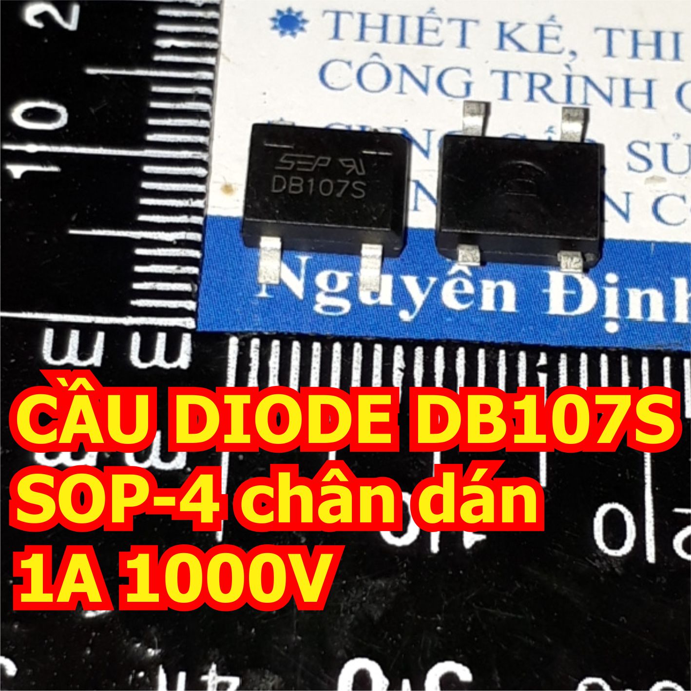 Đện tử Khải Định - Thỏa sức đam mê