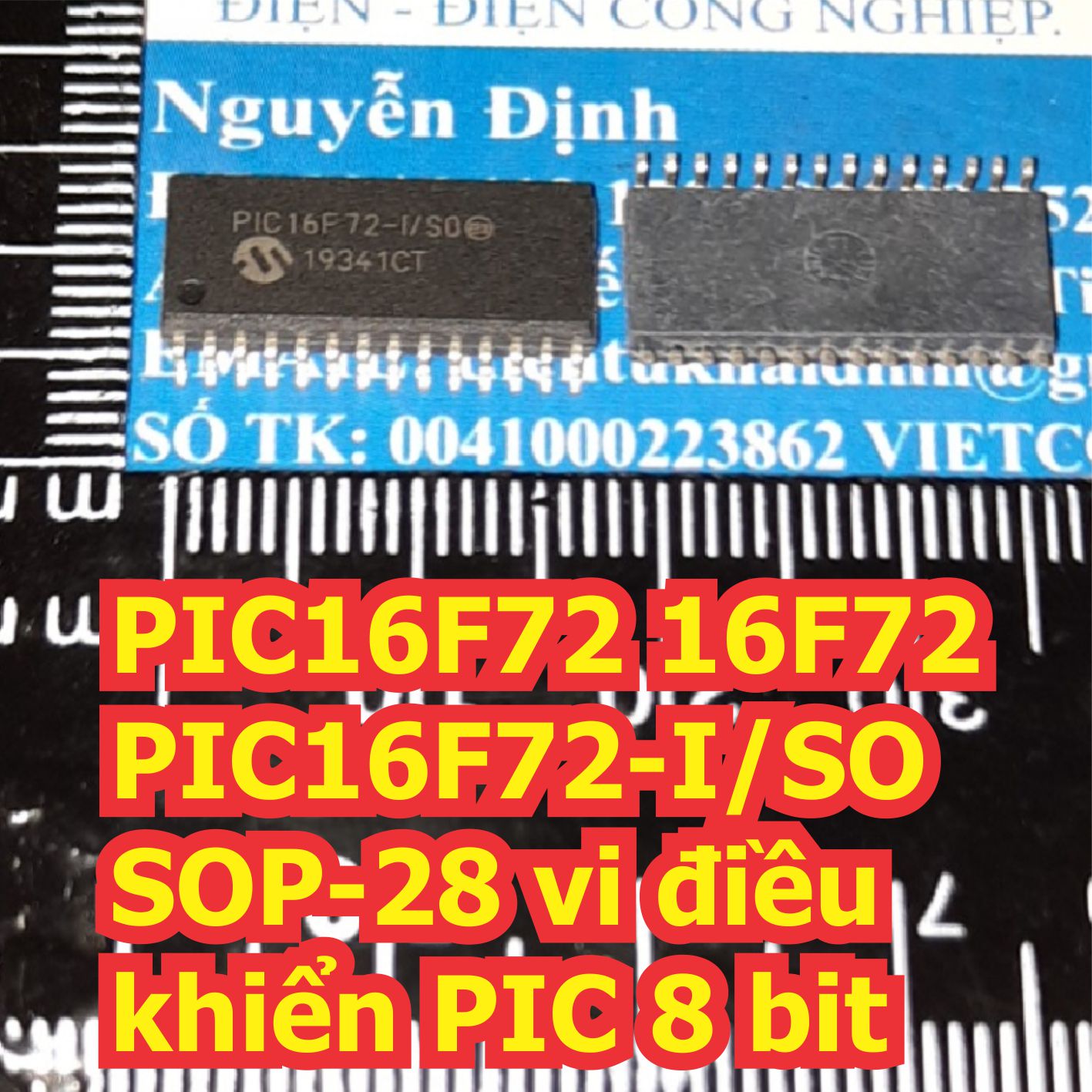 Đện tử Khải Định - Thỏa sức đam mê