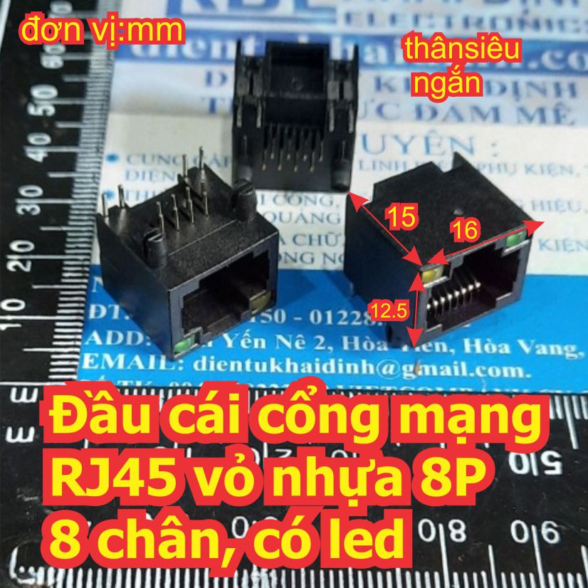 Đện tử Khải Định - Thỏa sức đam mê
