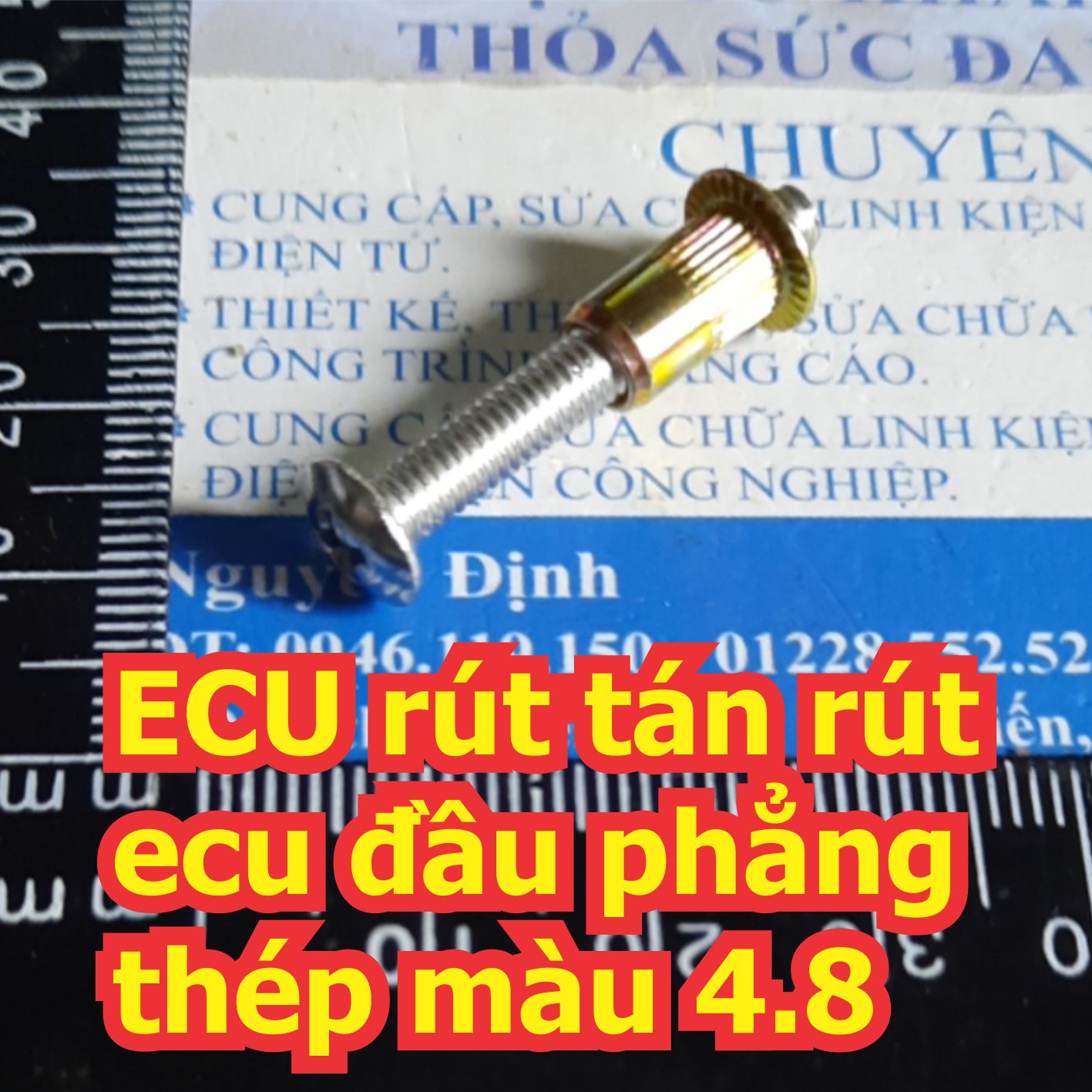 Đện tử Khải Định - Thỏa sức đam mê
