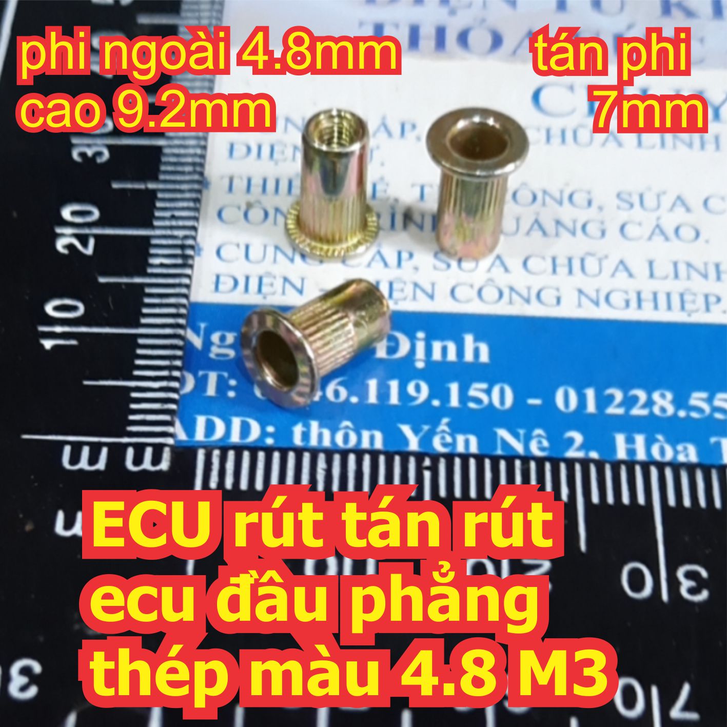 Đện tử Khải Định - Thỏa sức đam mê