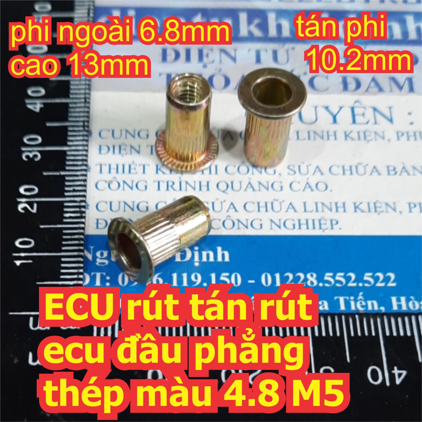Đện tử Khải Định - Thỏa sức đam mê