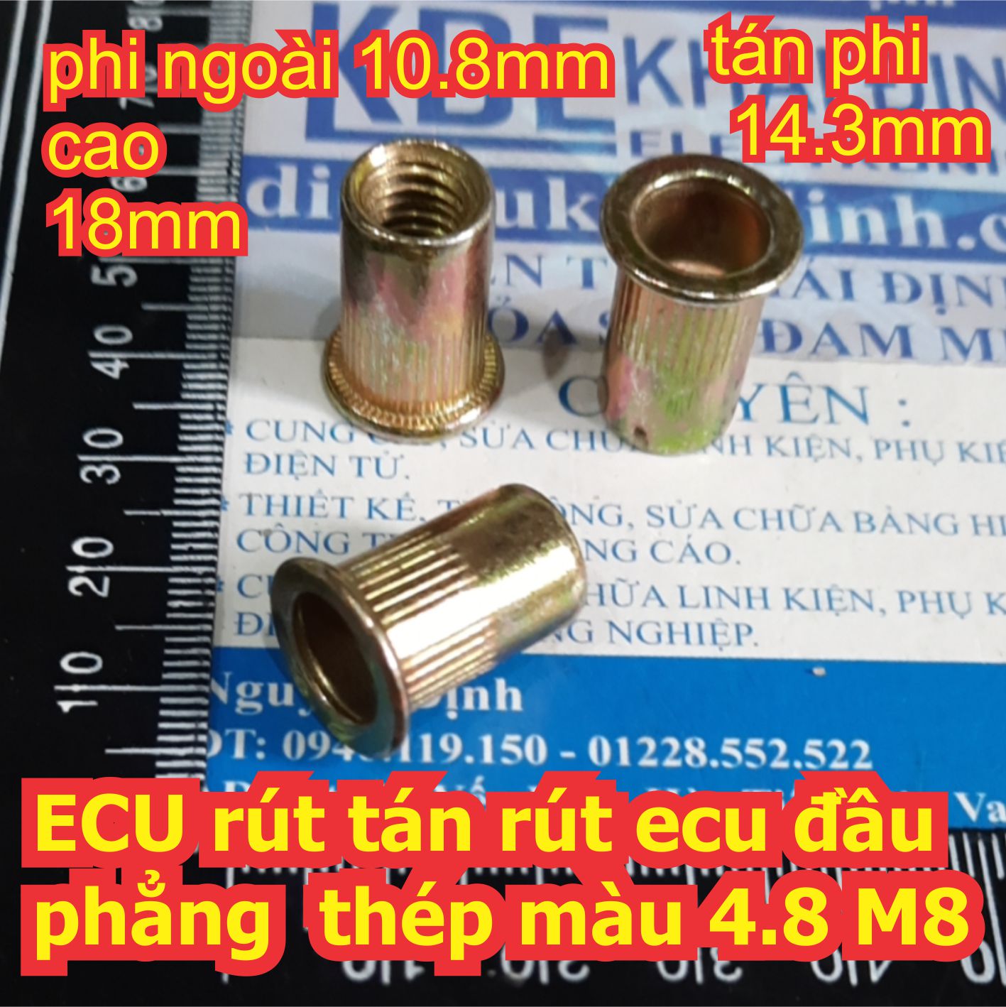 Đện tử Khải Định - Thỏa sức đam mê