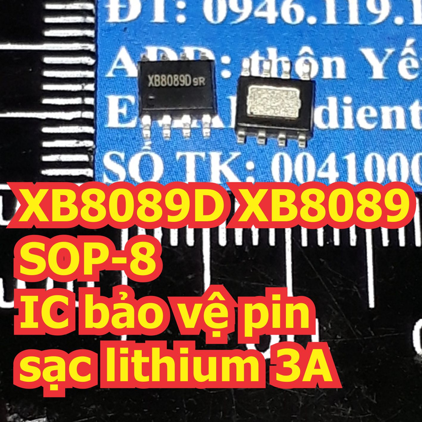 Đện tử Khải Định - Thỏa sức đam mê