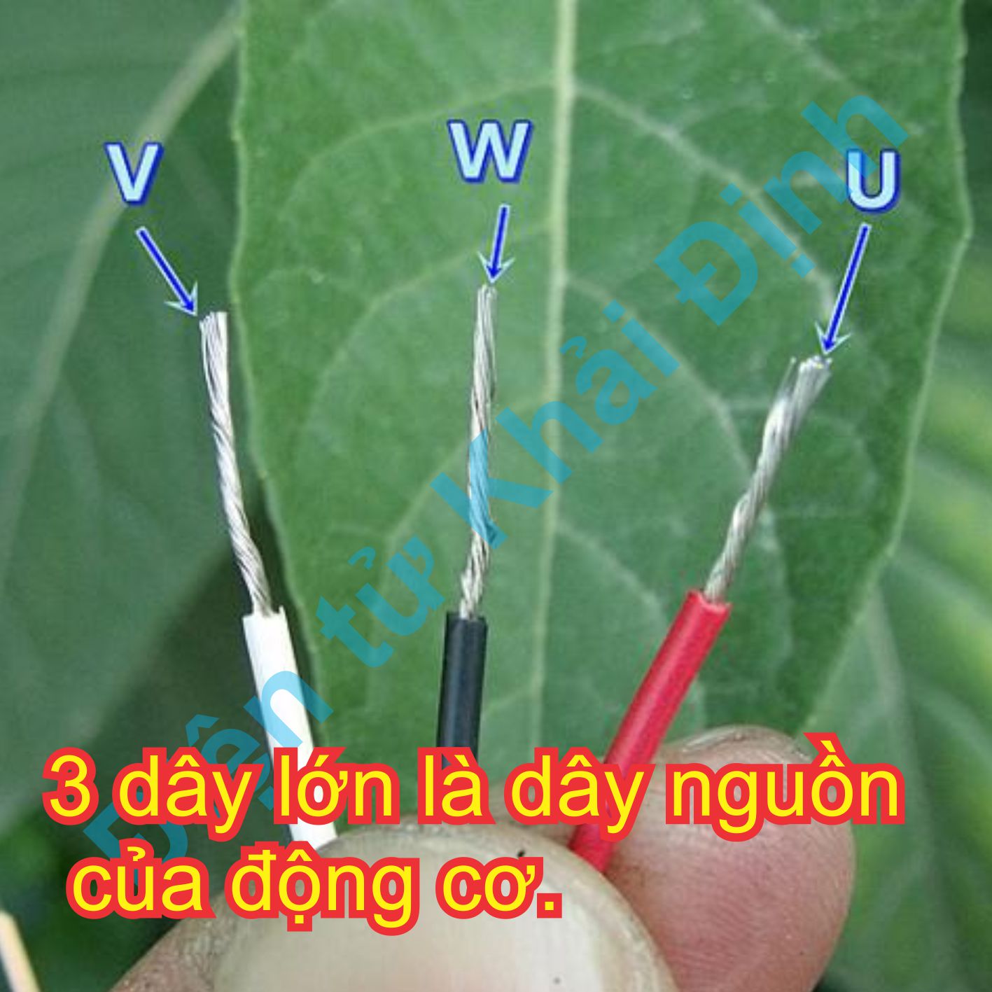 Động cơ không chổi than brushless Shinano 105Vdc 10.000V/P 25W LA034 trục 5mm chế máy phát điện kde7414