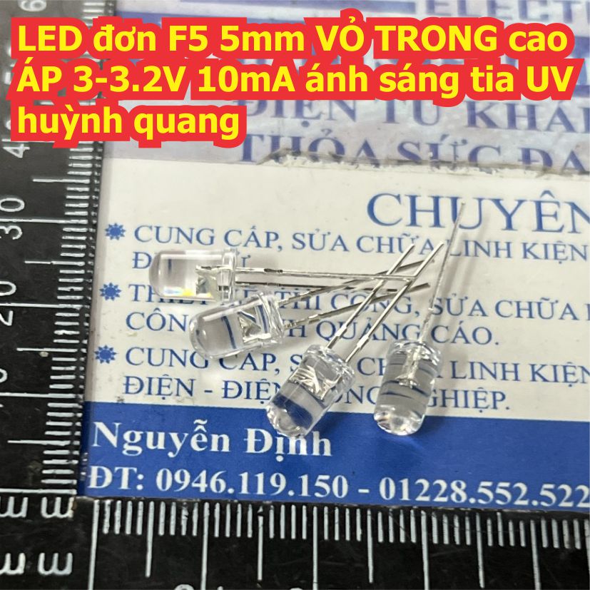 Đện tử Khải Định - Thỏa sức đam mê