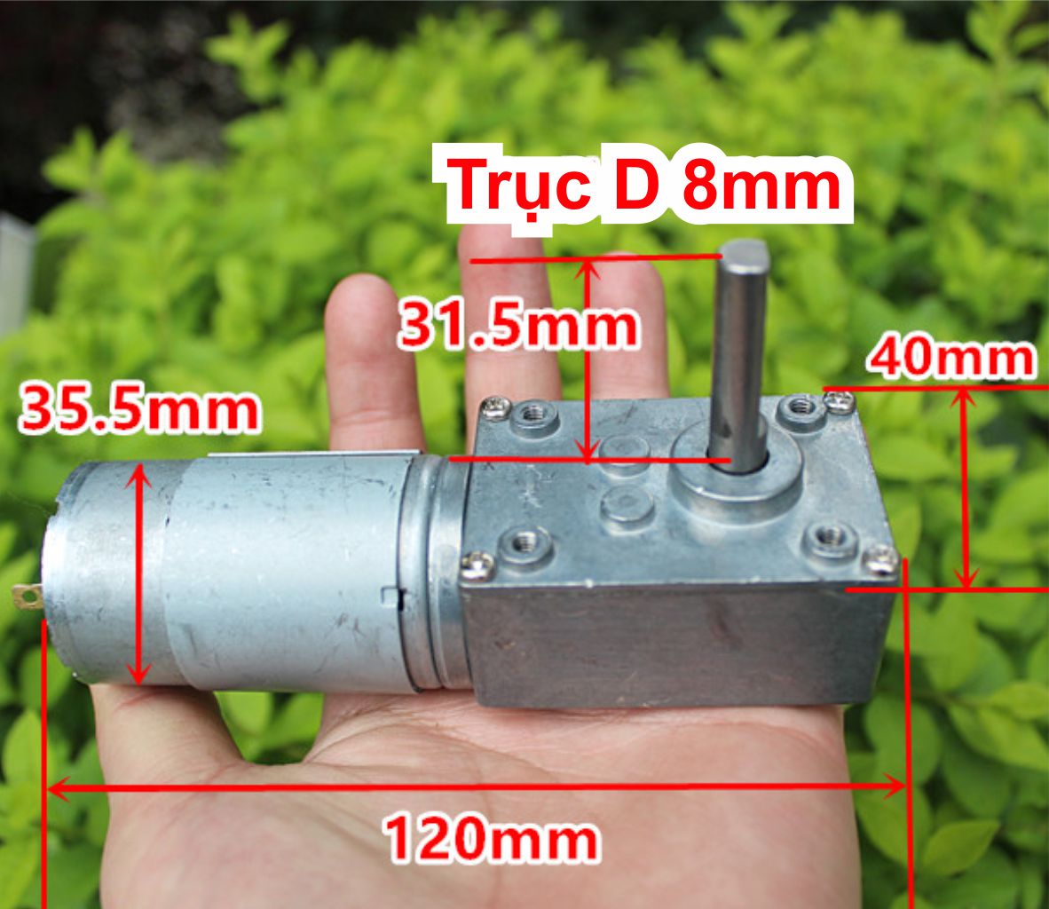 Động cơ giảm tốc dạng vuông góc 555 12-24V 45-90V/P trục D 8mm 430g kde7741