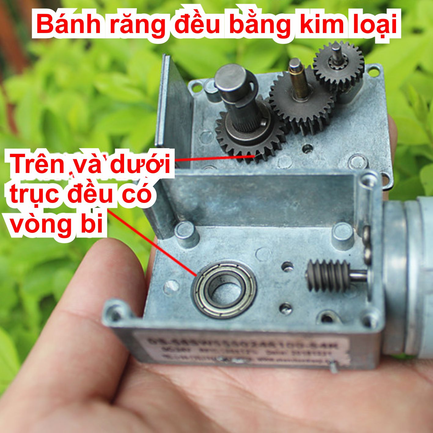 Động cơ giảm tốc dạng vuông góc 555 12-24V 45-90V/P trục D 8mm 430g kde7741