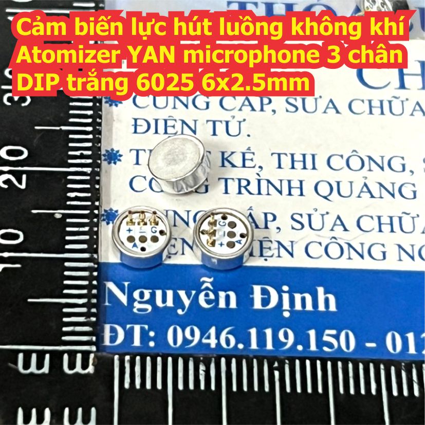 Đện tử Khải Định - Thỏa sức đam mê