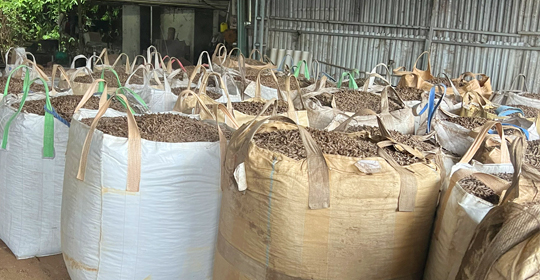 Sản phẩm nổi bật