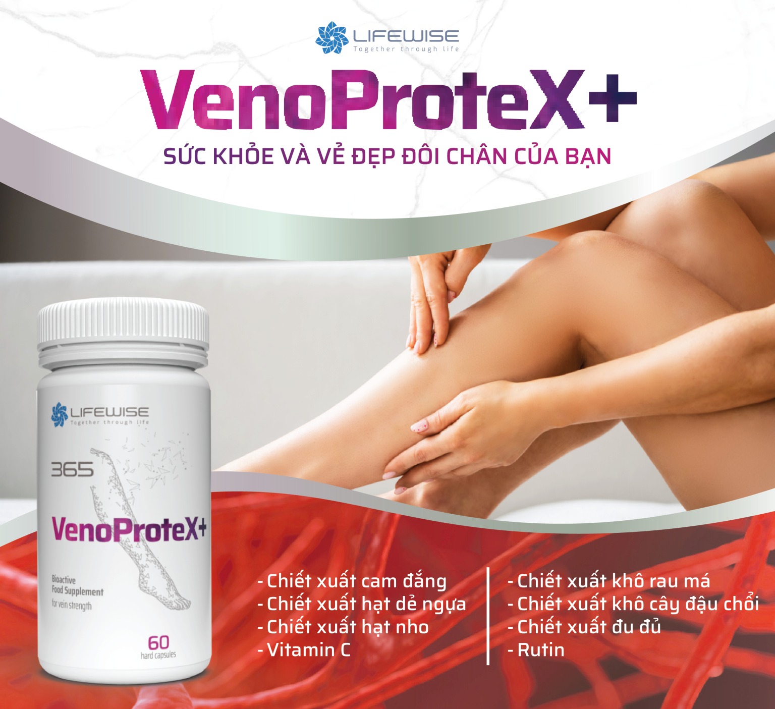 LIFEWISE 365 VENOPROTEX+ – MANG ĐẾN SỰ NHẸ NHÀNG CHO ĐÔI CHÂN CỦA BẠN