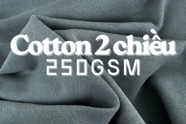 Cotton 2 chiều 250gsm là gì? Vì sao Cotton 2 chiều 250gsm được nhiều local brand ưa chuộng?
