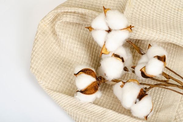 Các loại vải cotton cao cấp được sử dụng phổ biến trong ngành thời trang