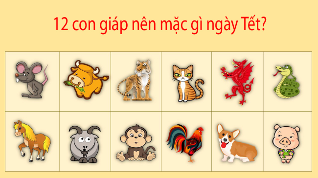 12 con giáp mặc màu gì Tết 2025 để may mắn cả năm?