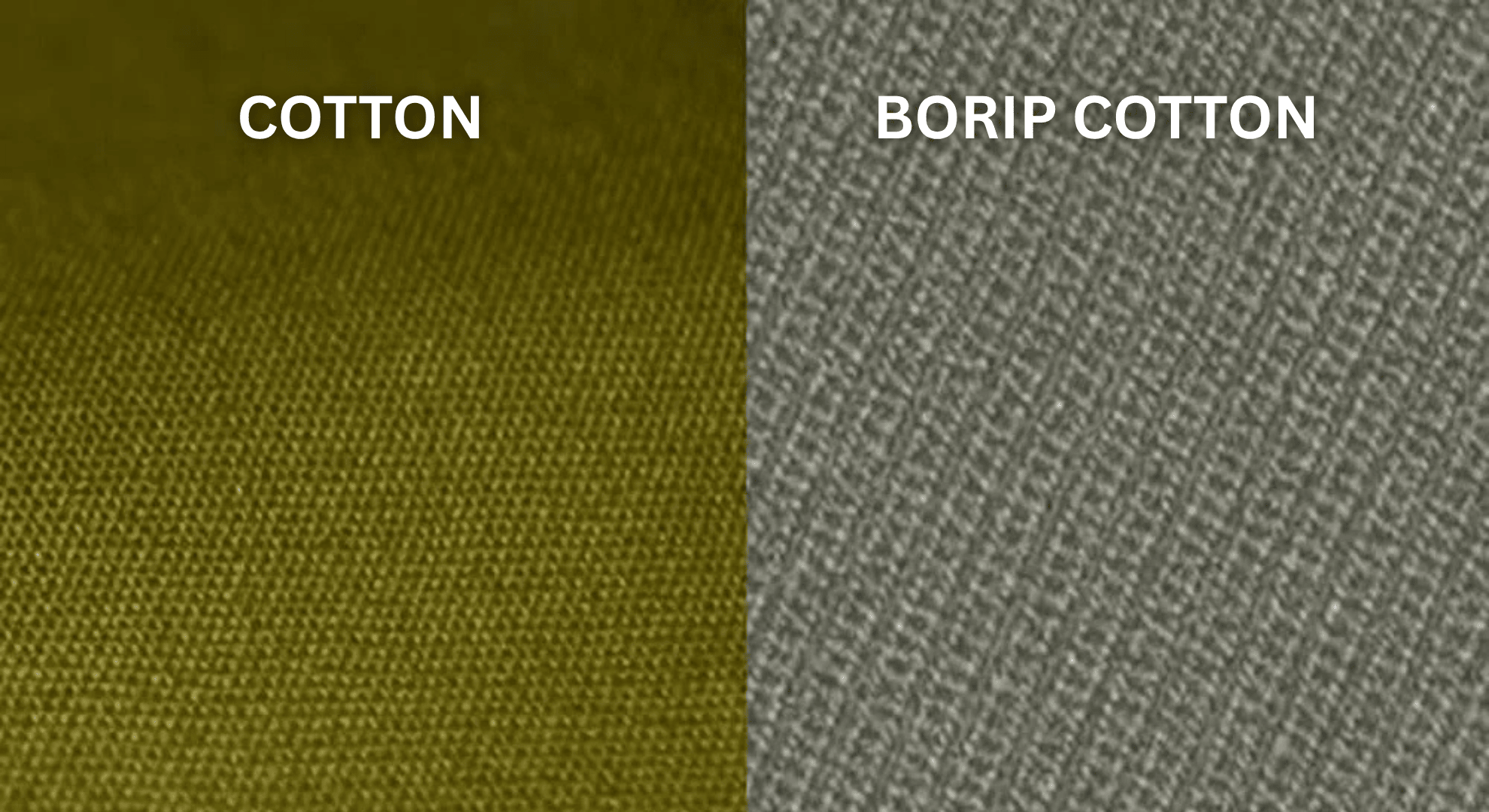 Vải Borip Cotton là gì? So sánh với vải Cotton thông thường