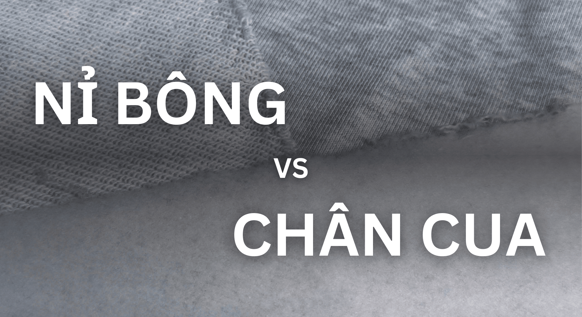 So sánh vải Nỉ và vải Chân cua: Loại nào phù hợp cho thời trang mùa đông?