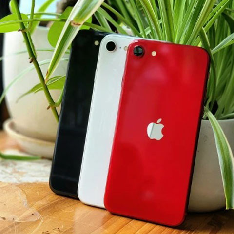 iPhone SE 2020 256GB Cũ Nguyên Bản Đẹp Như Mới