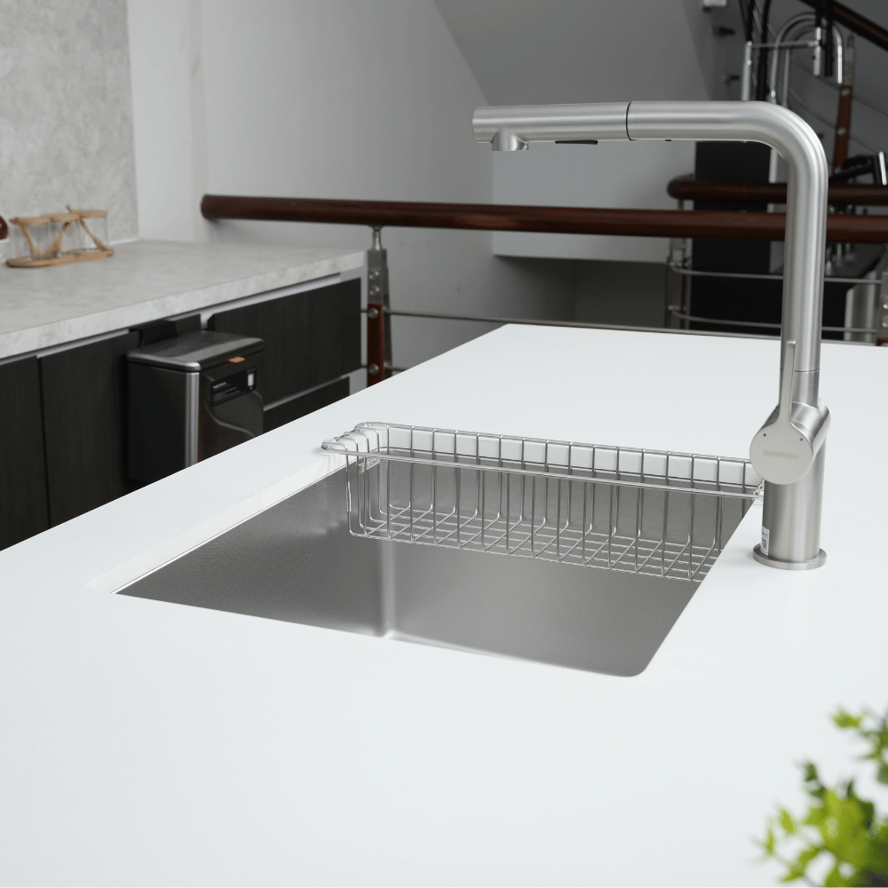 Chậu rửa bát Paul Schmitt PAM5444-UE