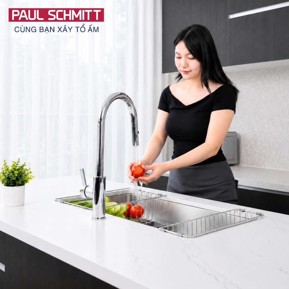 Chậu rửa bát Paul Schmitt PAM7644-UE