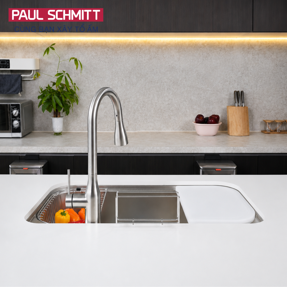 Chậu rửa bát Paul Schmitt PAM8250-UE