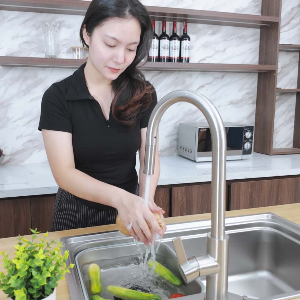 Chậu rửa bát Paul Schmitt PAM7845-TE