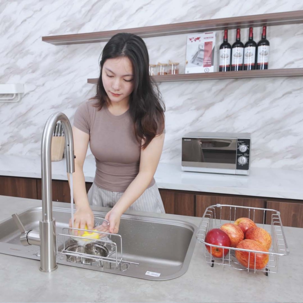 Chậu rửa bát Paul Schmitt PAM7848-TE