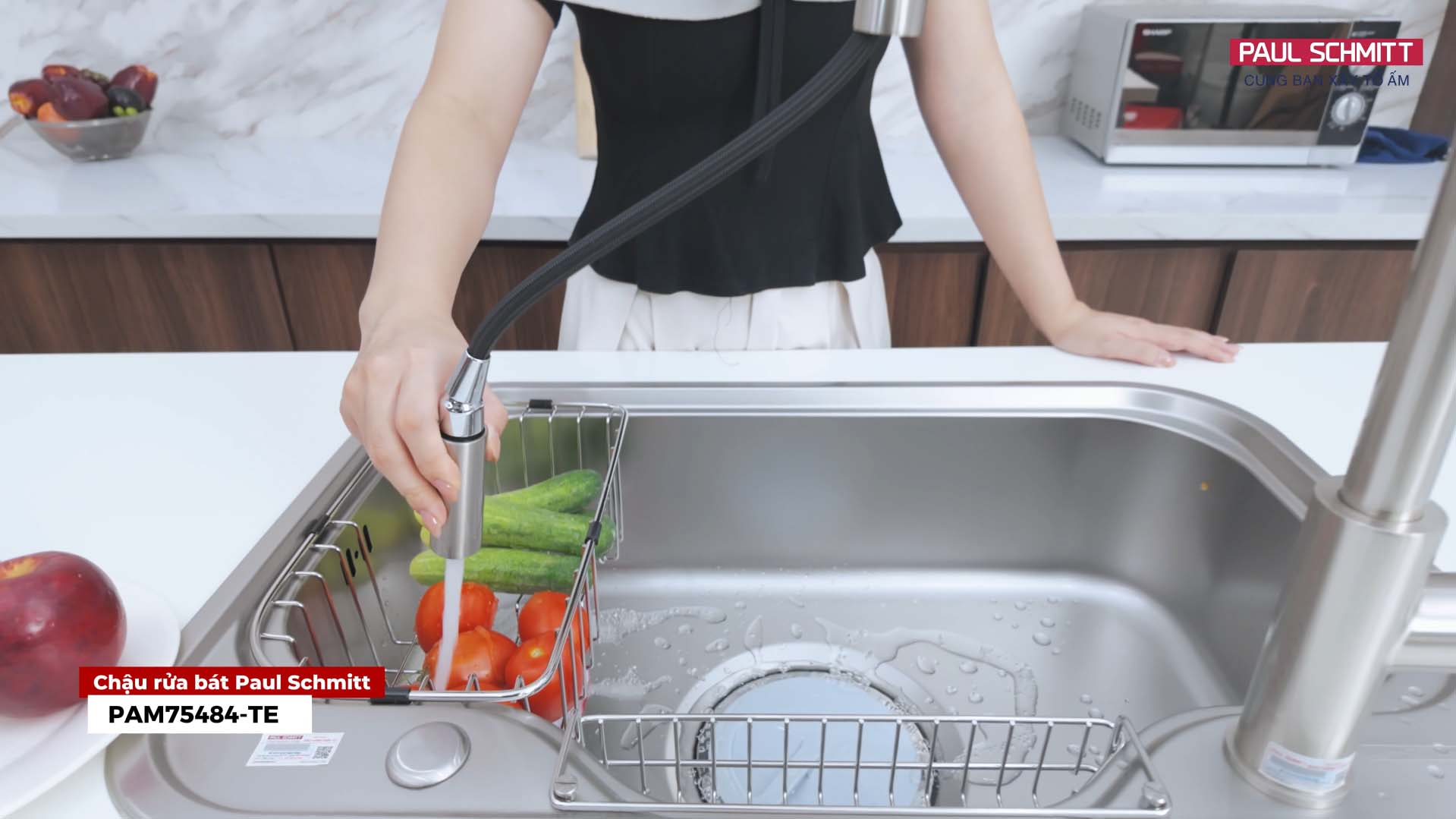 Chậu rửa bát Paul schmitt PAM75484-TE
