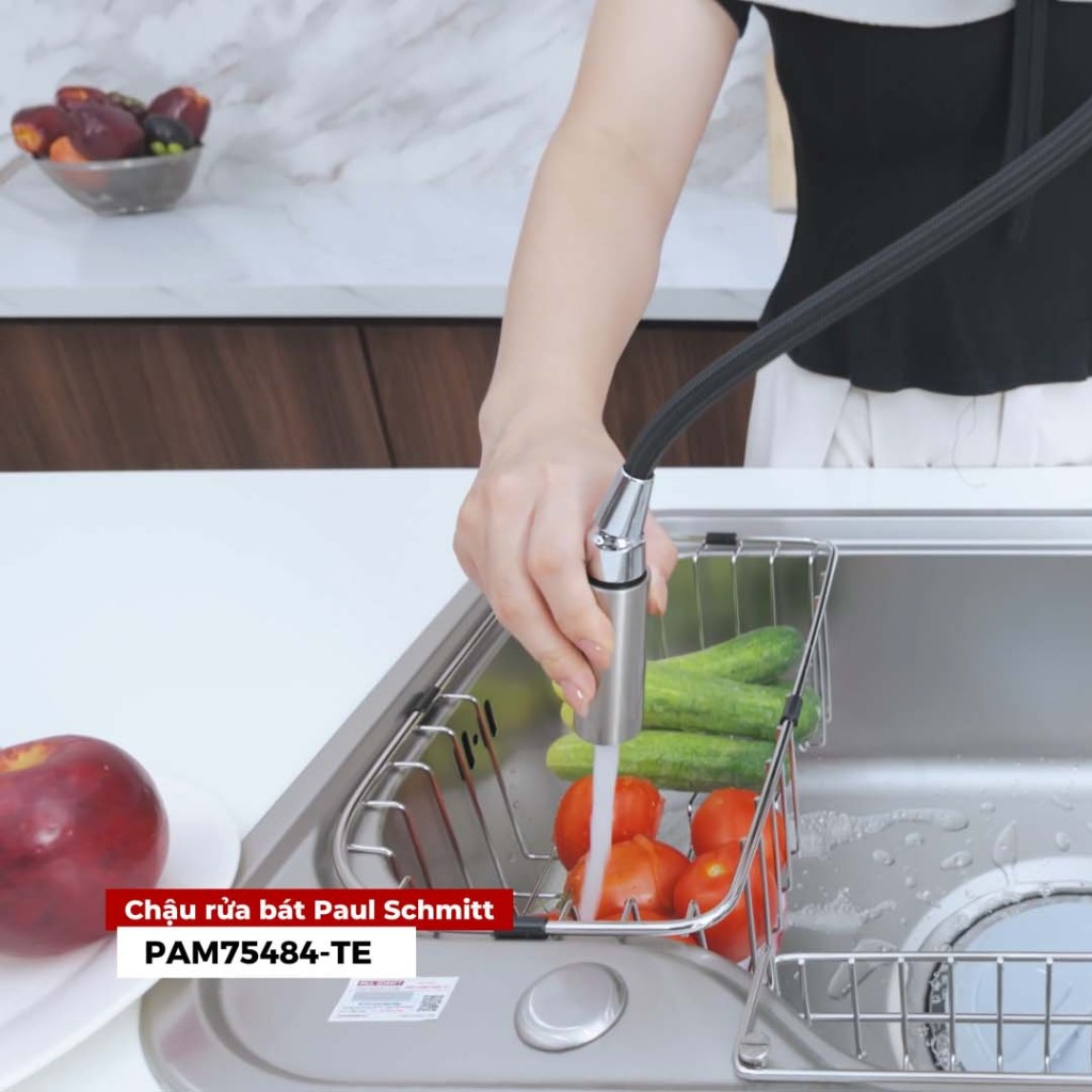 Chậu rửa bát Paul Schmitt PAM75484-TE