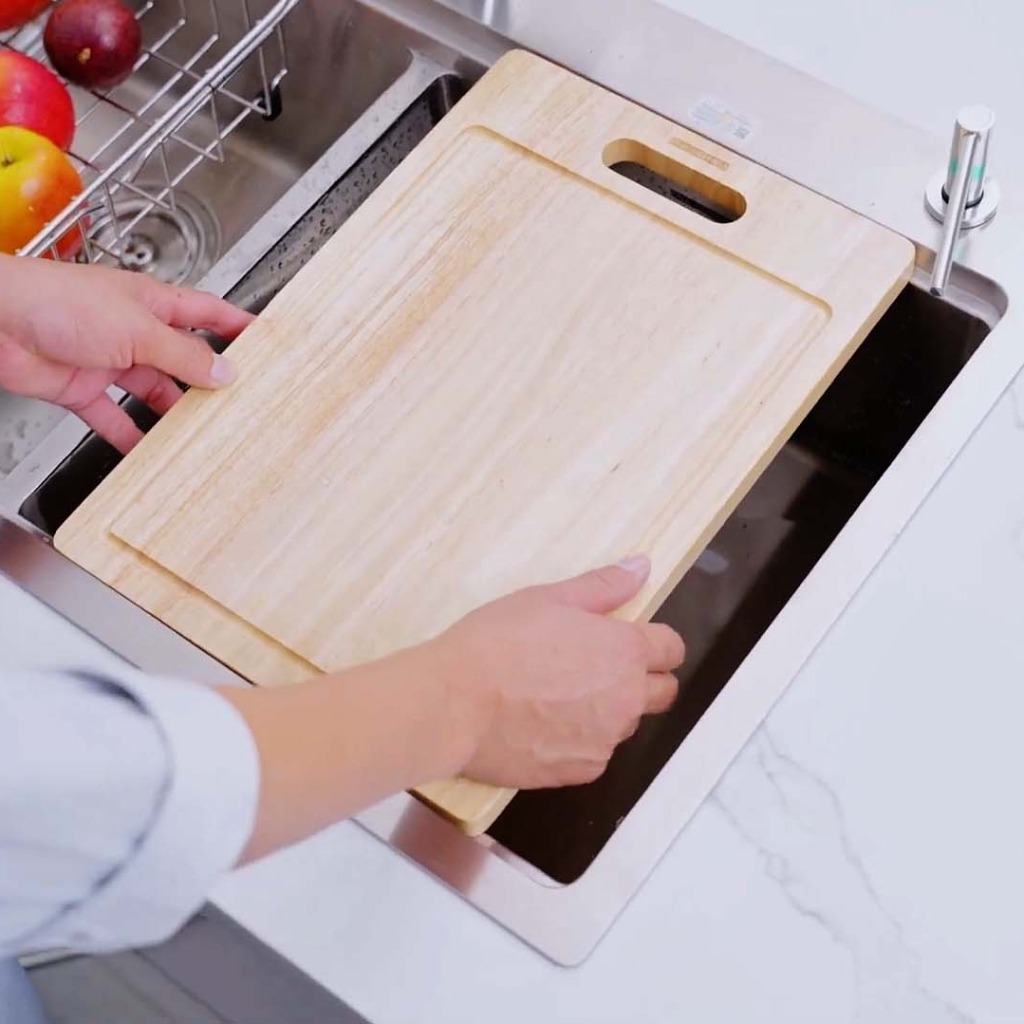 Chậu rửa bát Paul Schmitt PA8850-TD